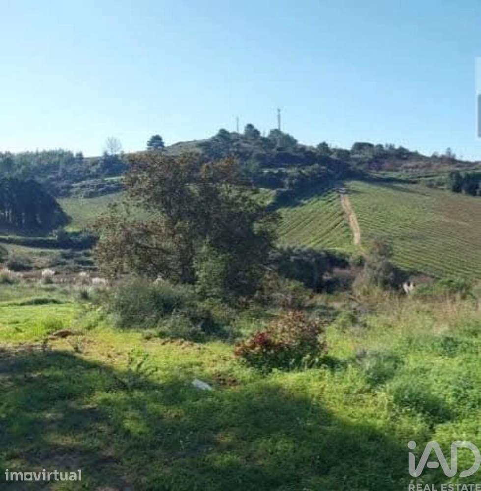 Terreno em Turcifal de 100000,00 m2 - Grande imagem: 4/11
