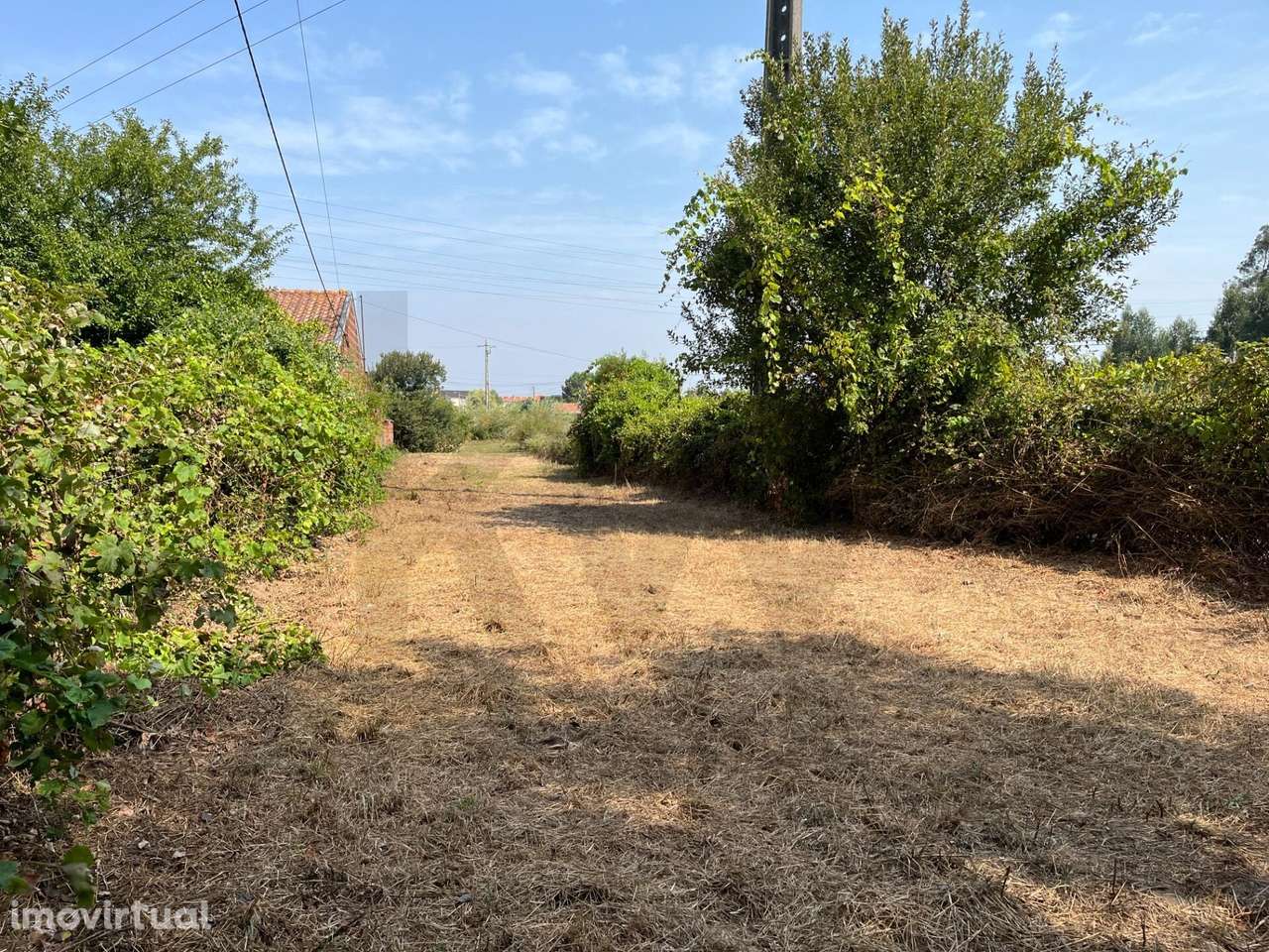 Terreno para construção de moradia unifamiliar em Cacia - Grande imagem: 2/7