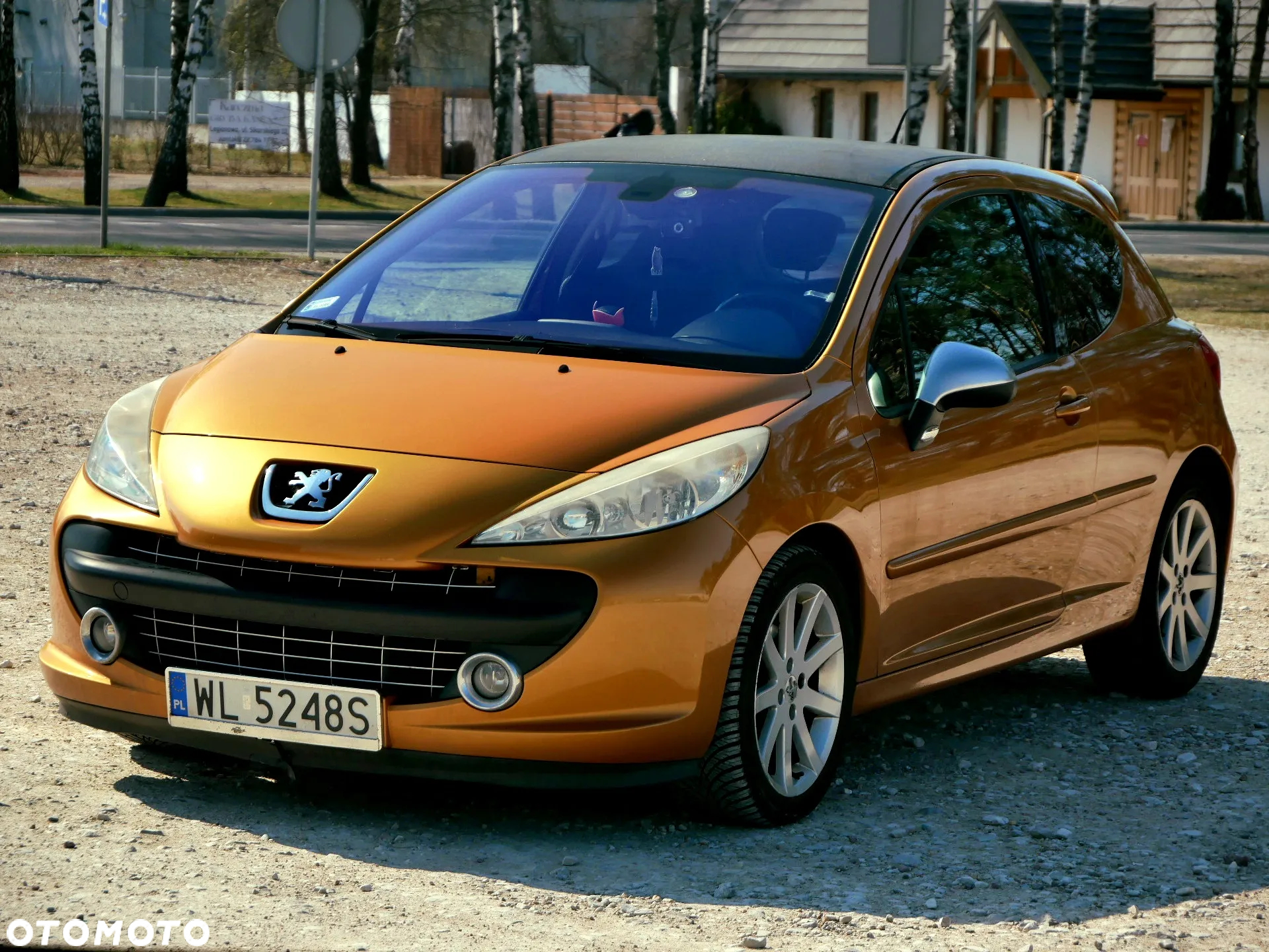 Peugeot 207 110 Sport - 5