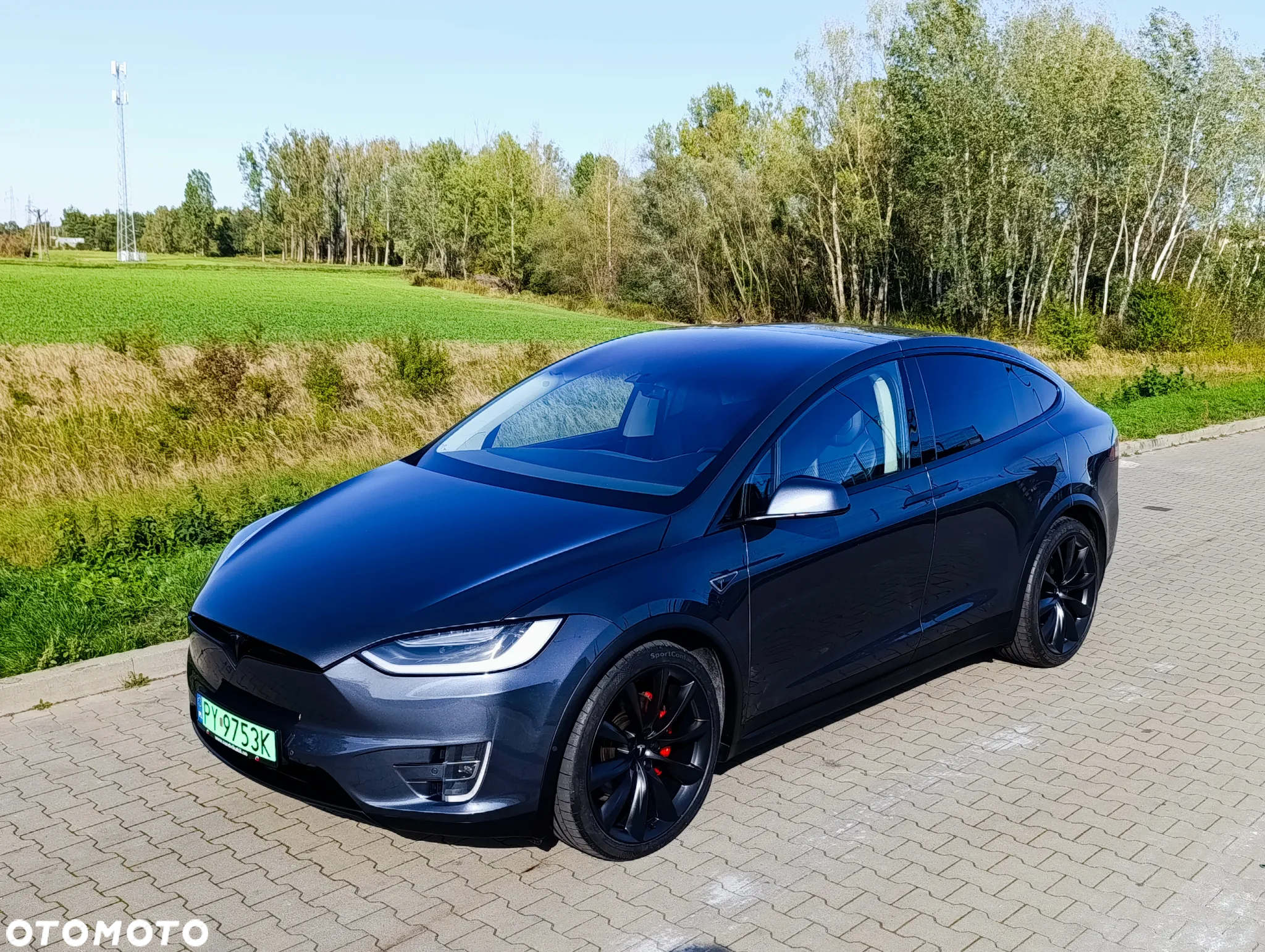 Tesla Model X Performance - 2
