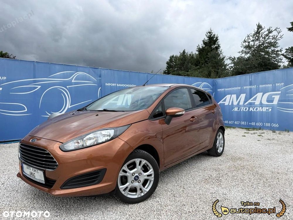 Ford Fiesta - 1