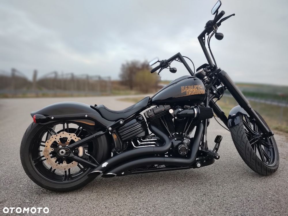 Harley-Davidson Softail - 1