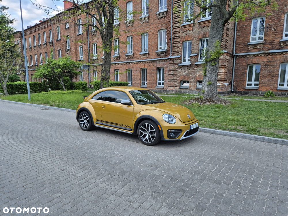 Volkswagen Beetle - 16