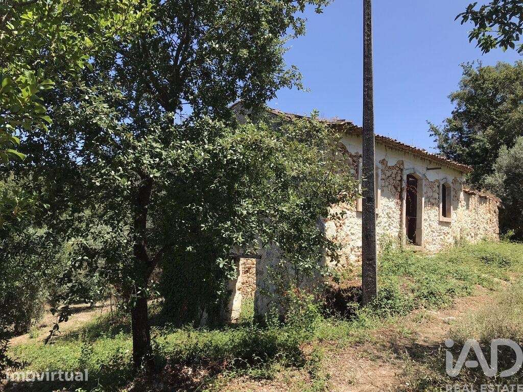 Quinta T6 em Chãos de 650,00 m2 - Grande imagem: 2/30