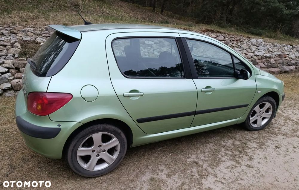 Peugeot 307 1.6 - 2