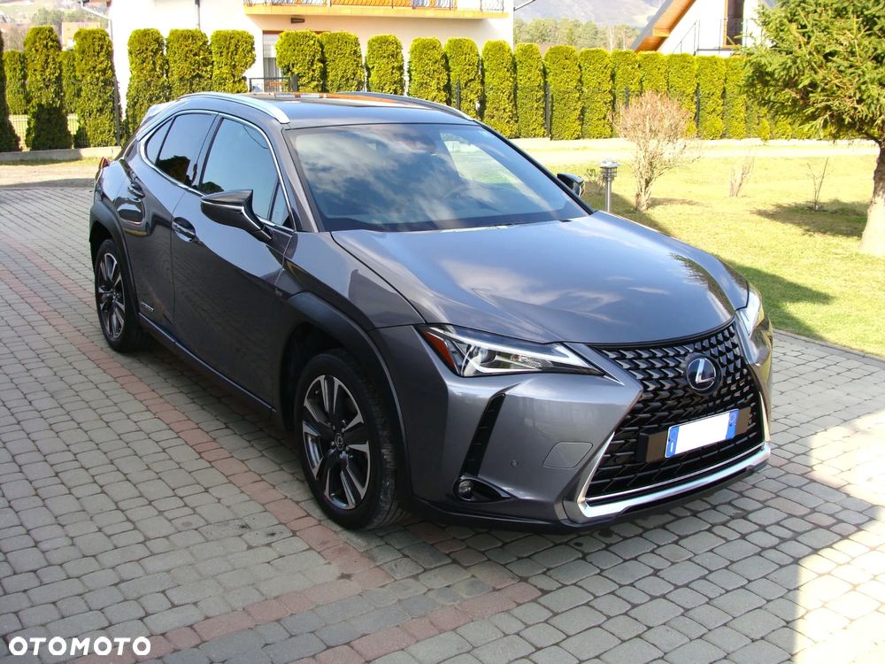 Lexus UX 250h (E-FOUR) Executive Line - 13