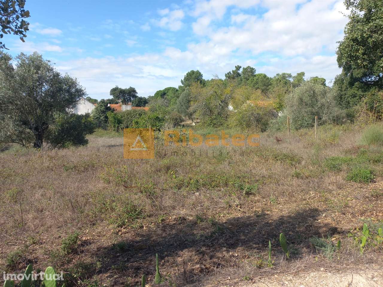Terreno para construção em Coruche - Grande imagem: 2/11