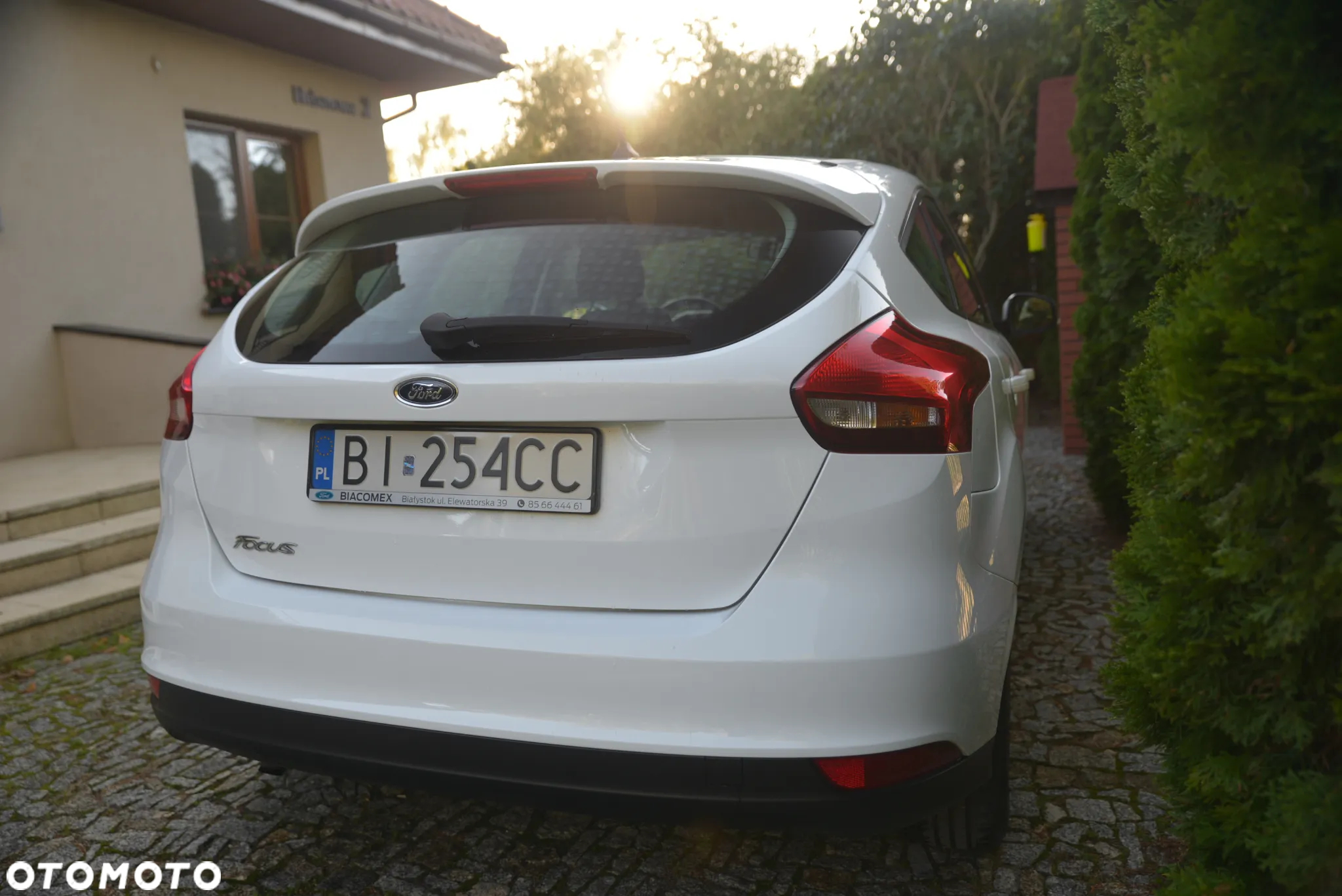 Ford Focus 1.6 Trend - 7