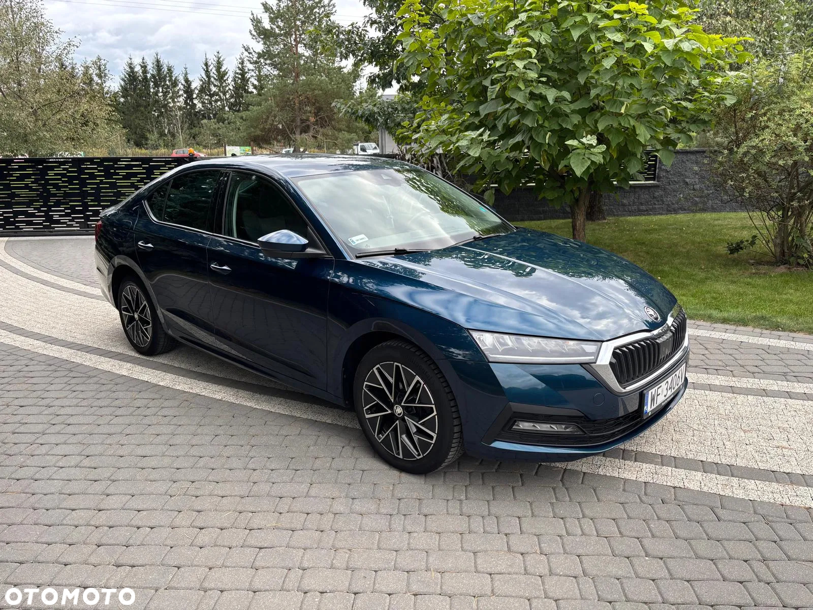 Skoda Octavia 1.0 TSI Ambition - 5