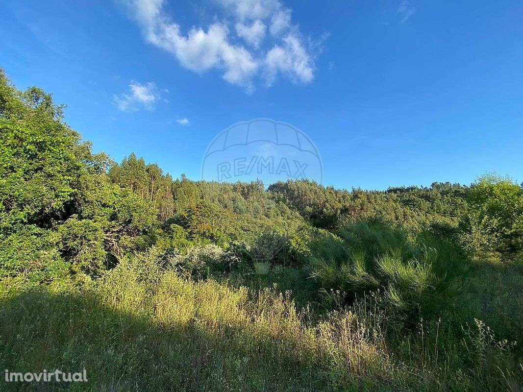 Quinta  para venda - Grande imagem: 3/5