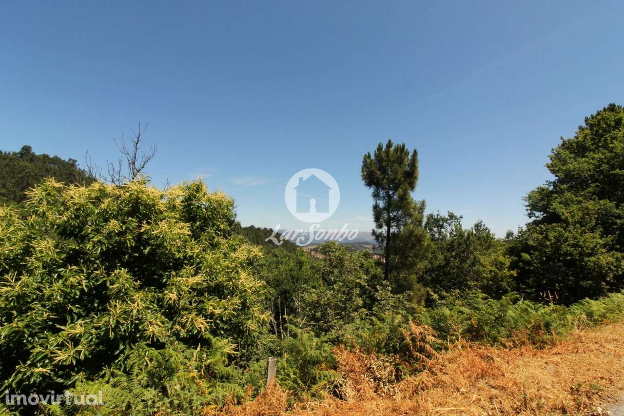 Terreno Caçarilhe Celorico de Basto - Grande imagem: 2/22