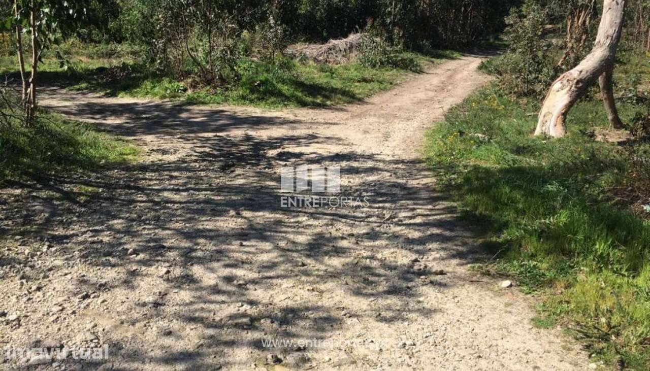 Venda de terreno para construção, V. N. Cerveira, V. N. Cerveira - Grande imagem: 3/30