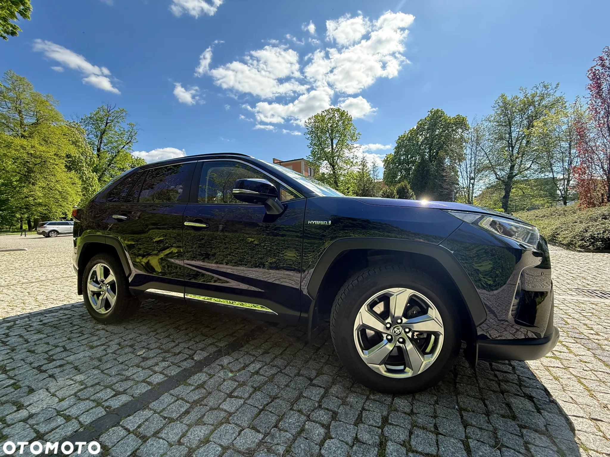 Toyota RAV4 2.5 Hybrid Executive 4x2 - 15