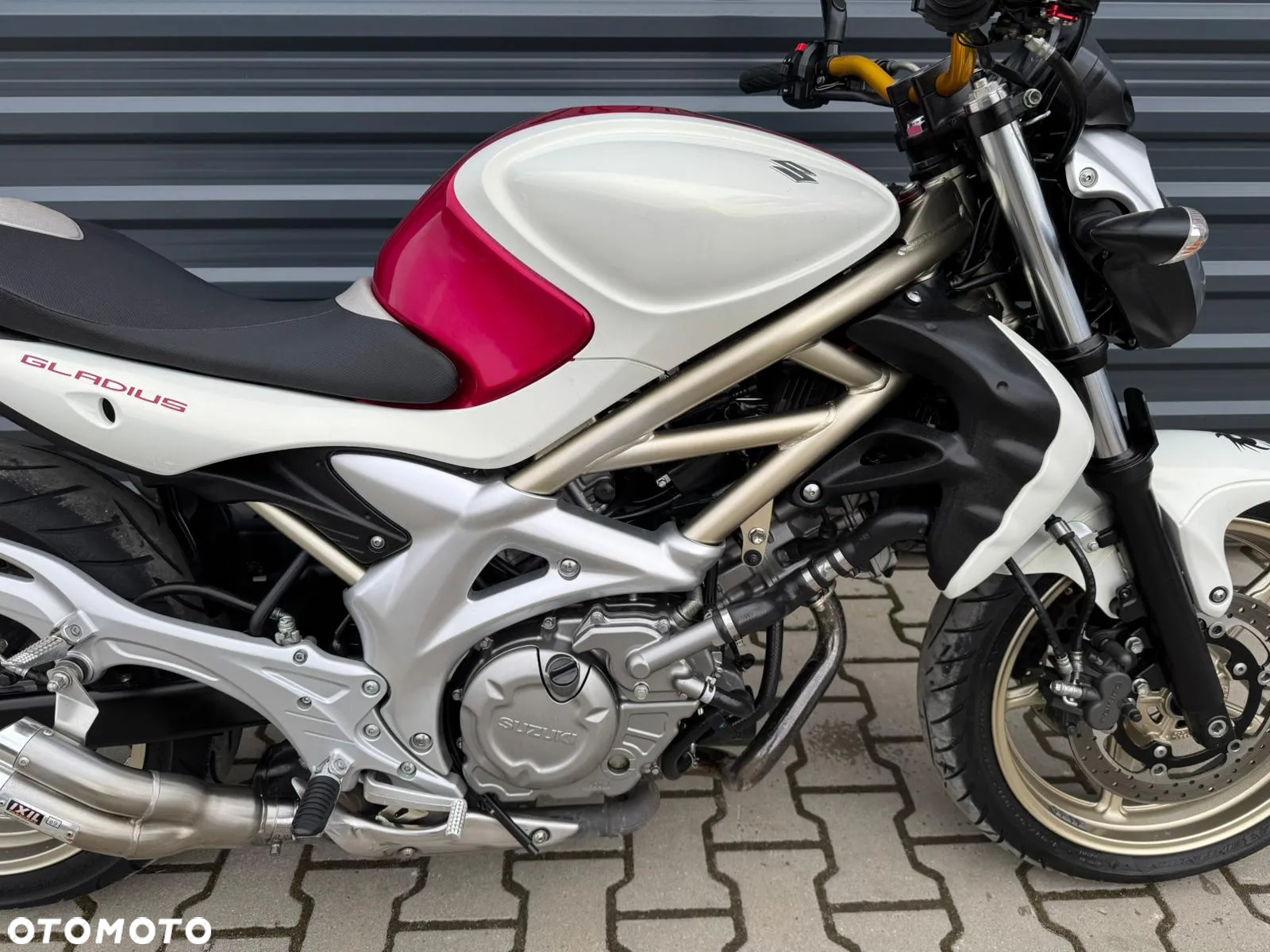 Suzuki Gladius - 10