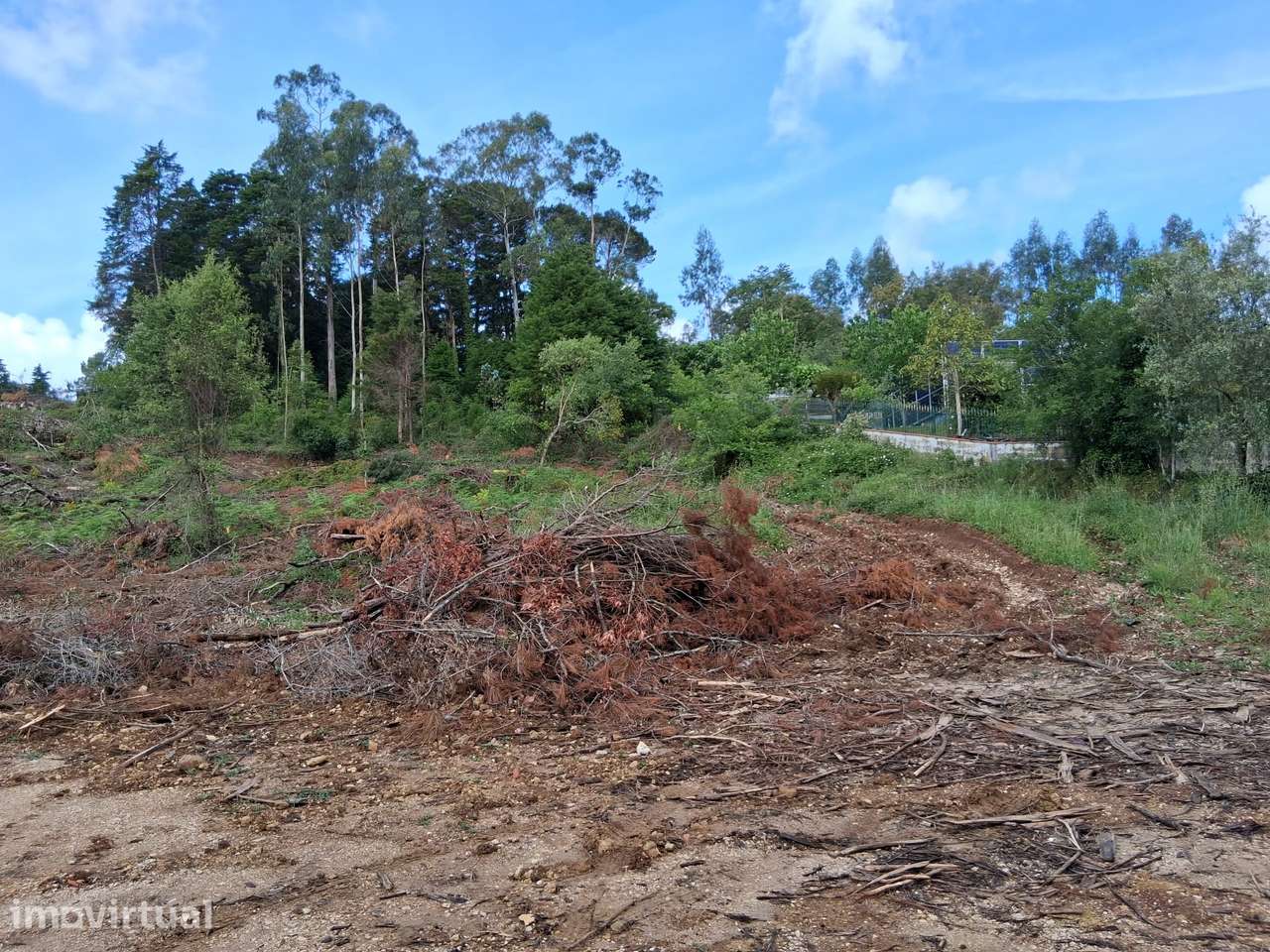 Terreno com 12.300 m² em zona tranquila a minutos de Coimbra - Grande imagem: 5/14