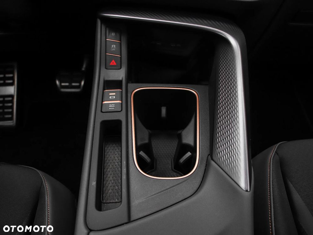 Cupra Terramar - 17