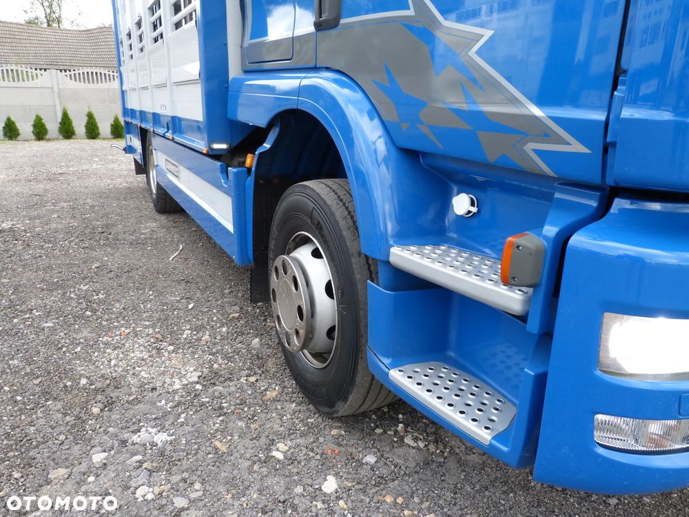 MAN TGM 15.250 DO ŻYWCA / ZWIERZĄT / BYDŁA / WAGA EL/. EURO 6 / DŁ. 5.20M /XENON - 25