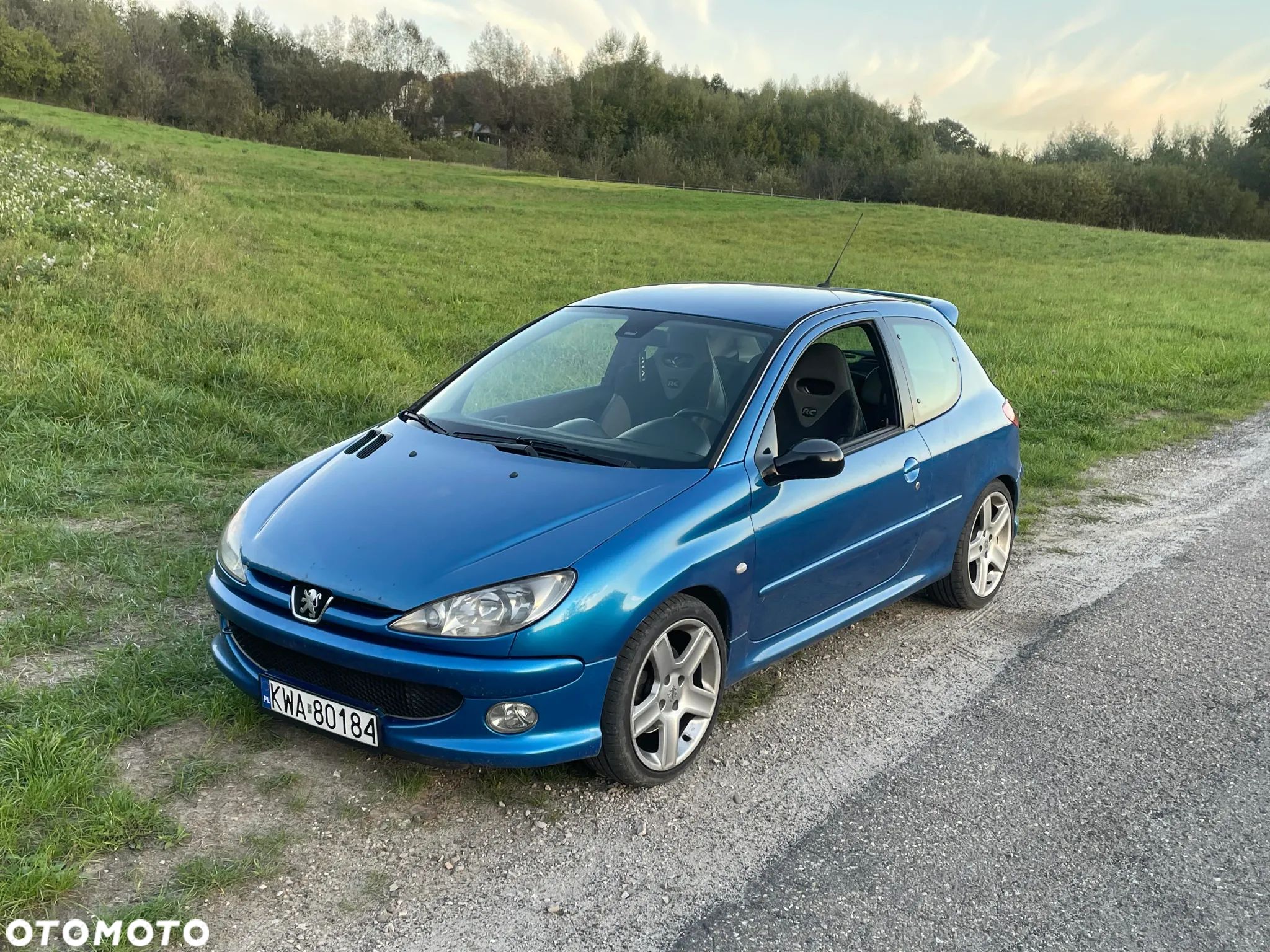 Peugeot 206 2.0 RC - 1