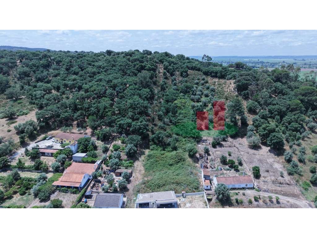 Lote no Pinheiro Grande***RIOMAGIC*** - Grande imagem: 2/23