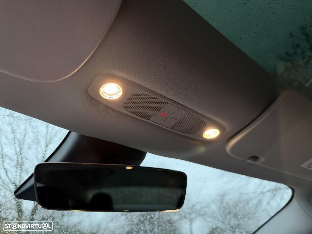 Tesla Model 3 Performance Dual Motor AWD - 23