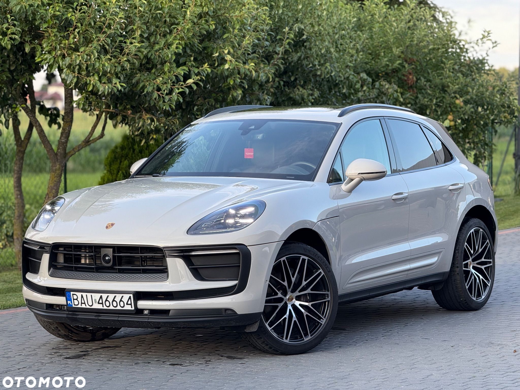 Porsche Macan Standard - 1