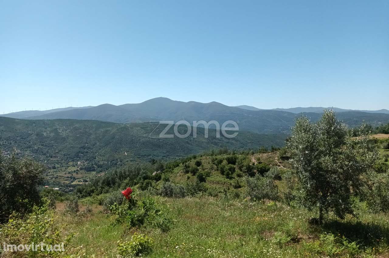 Vende-se terreno Rustico - Grande imagem: 5/6