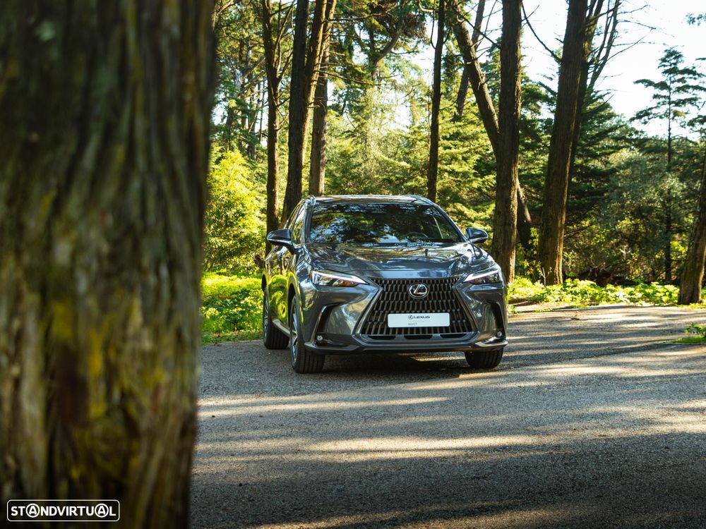 Lexus NX 350h Executive+ - 16