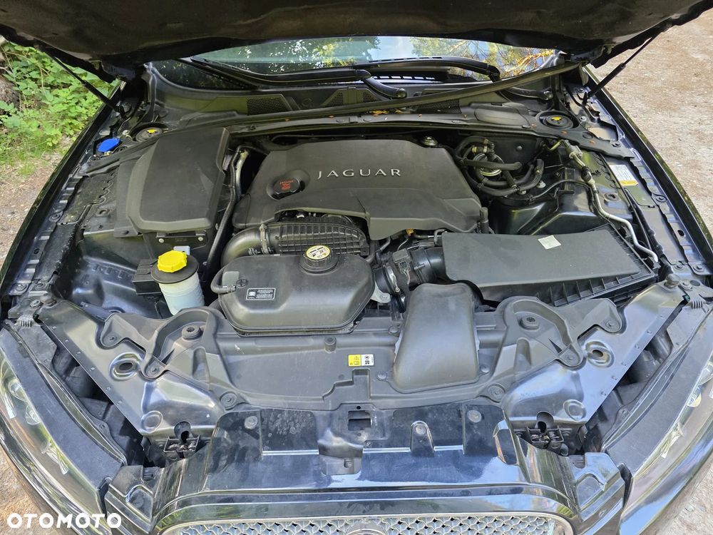 Jaguar XF 3.0 V6 D Luxury - 15