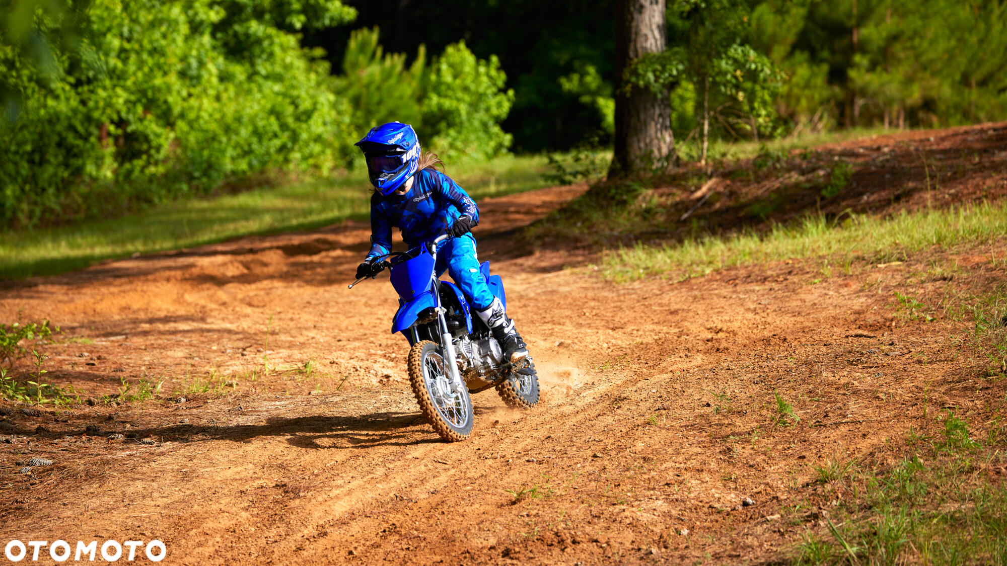 Yamaha TTR - 4