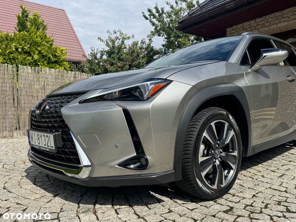 Lexus UX 250h F Sport 2WD - 14