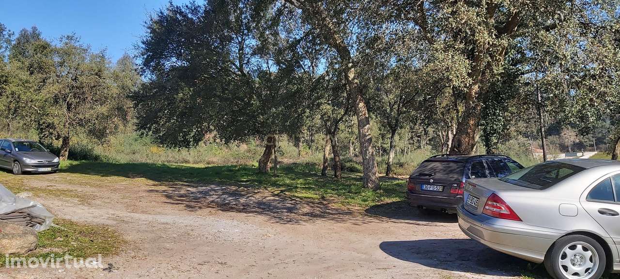 Terreno: "Bouça de Manteiros", ou "das Fontainhas" - Grande imagem: 4/42