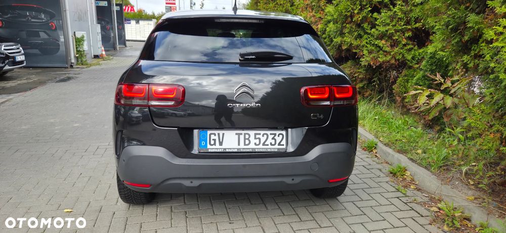 Citroën C4 Cactus PureTech 110 Stop&Start EAT6 Origins - 12