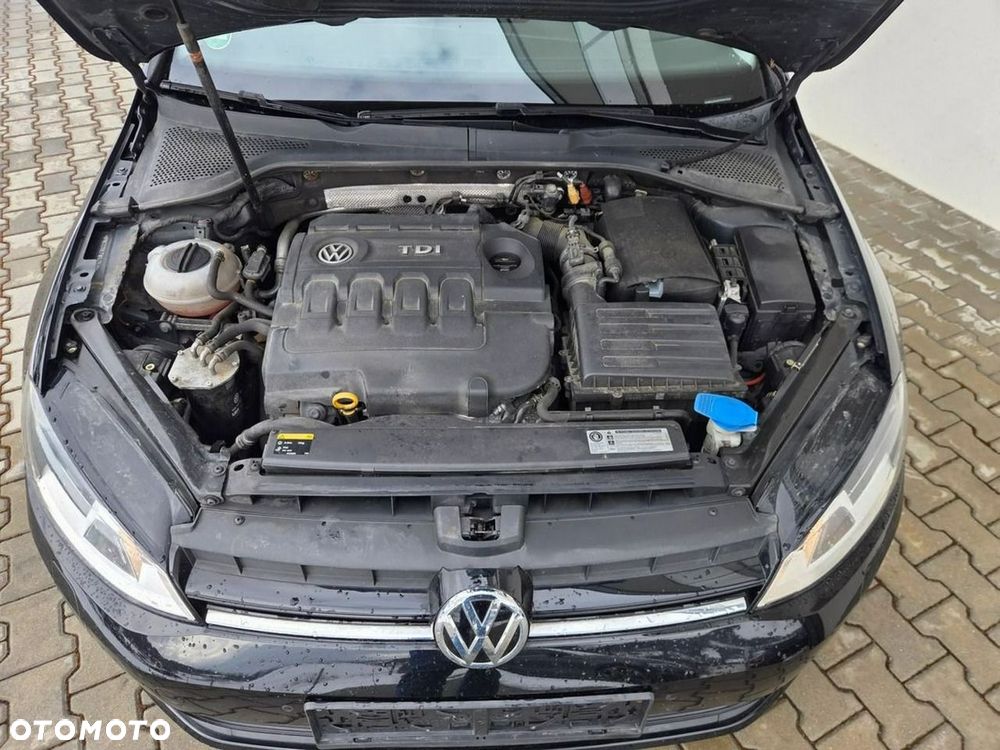 Volkswagen Golf - 19