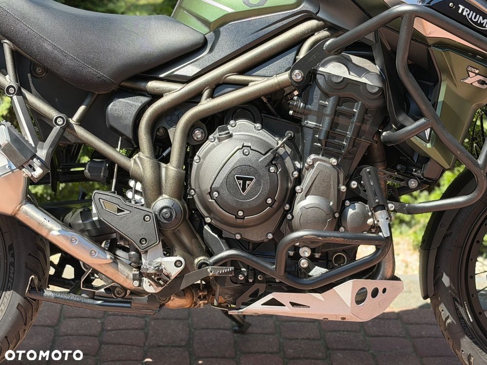 Triumph Tiger - 13