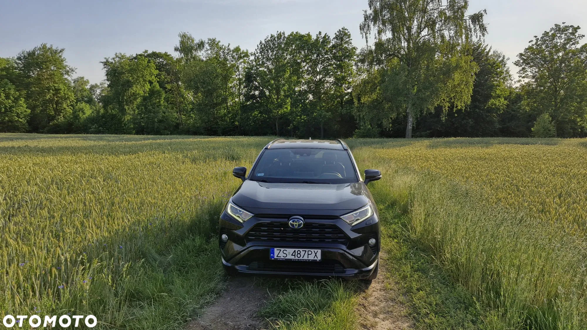 Toyota RAV4 2.5 Hybrid Black Edition by JBL 4x4 - 4