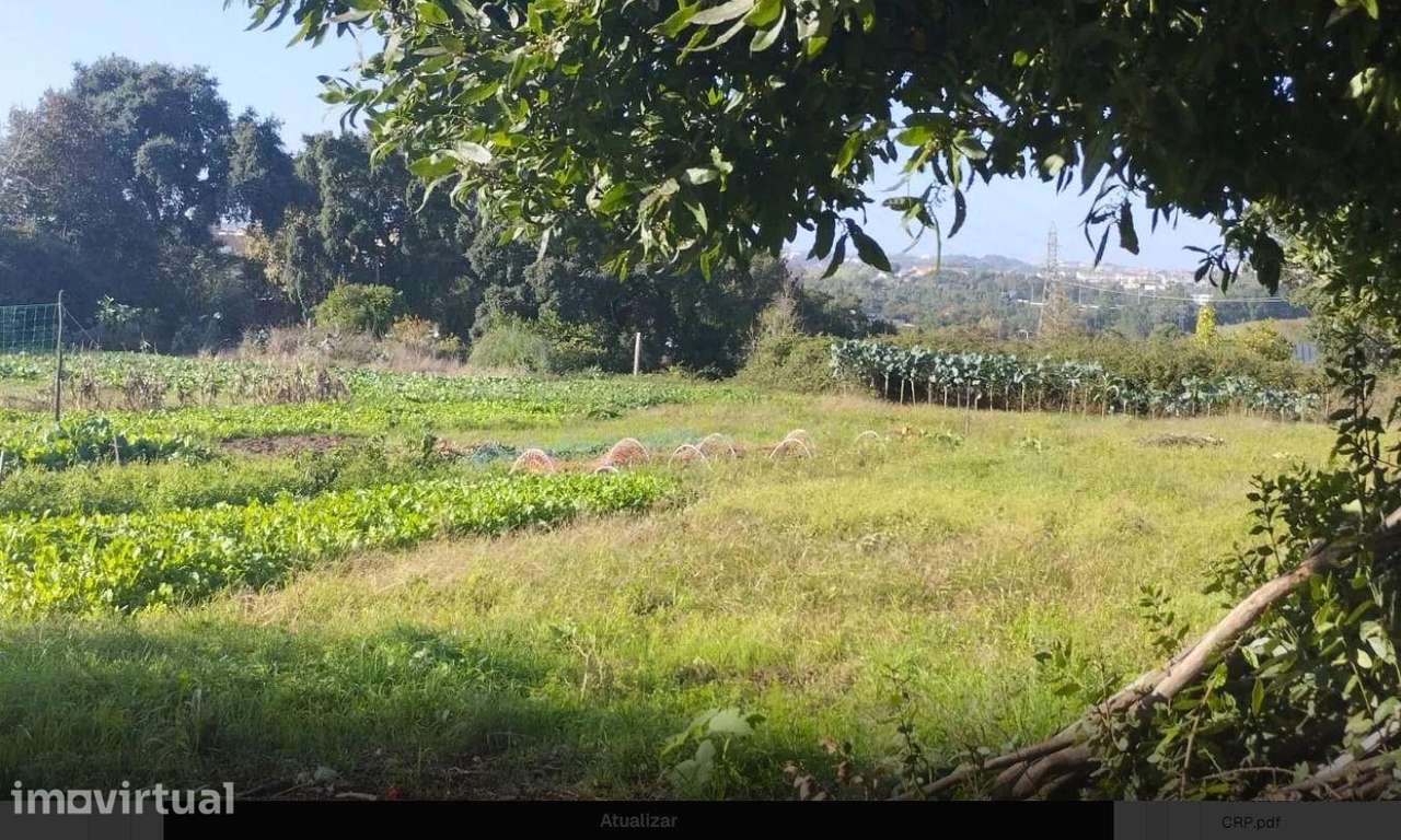 Terreno em Gondomar com Excelente Localização! - Grande imagem: 2/8