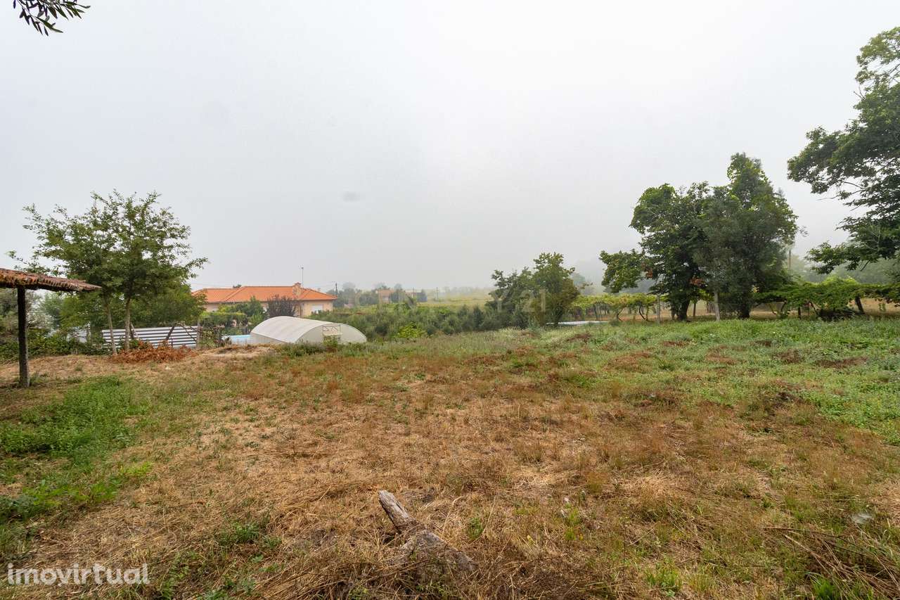 Casa para Recuperação em Cossourado com Vista Campestre - Grande imagem: 2/32