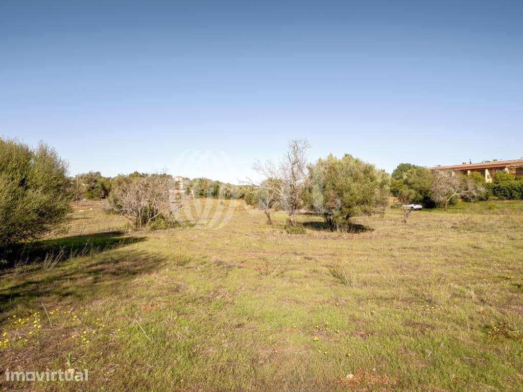 Quinta com potencial construtivo em Pêra, Silves, Algarve - Grande imagem: 2/60