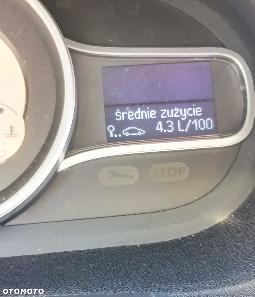Renault Megane - 12