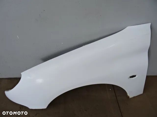 BŁOTNIK LEWY PRZÓD PRZEDNI PEUGEOT 206 LAK:EWPA NR408 - 1