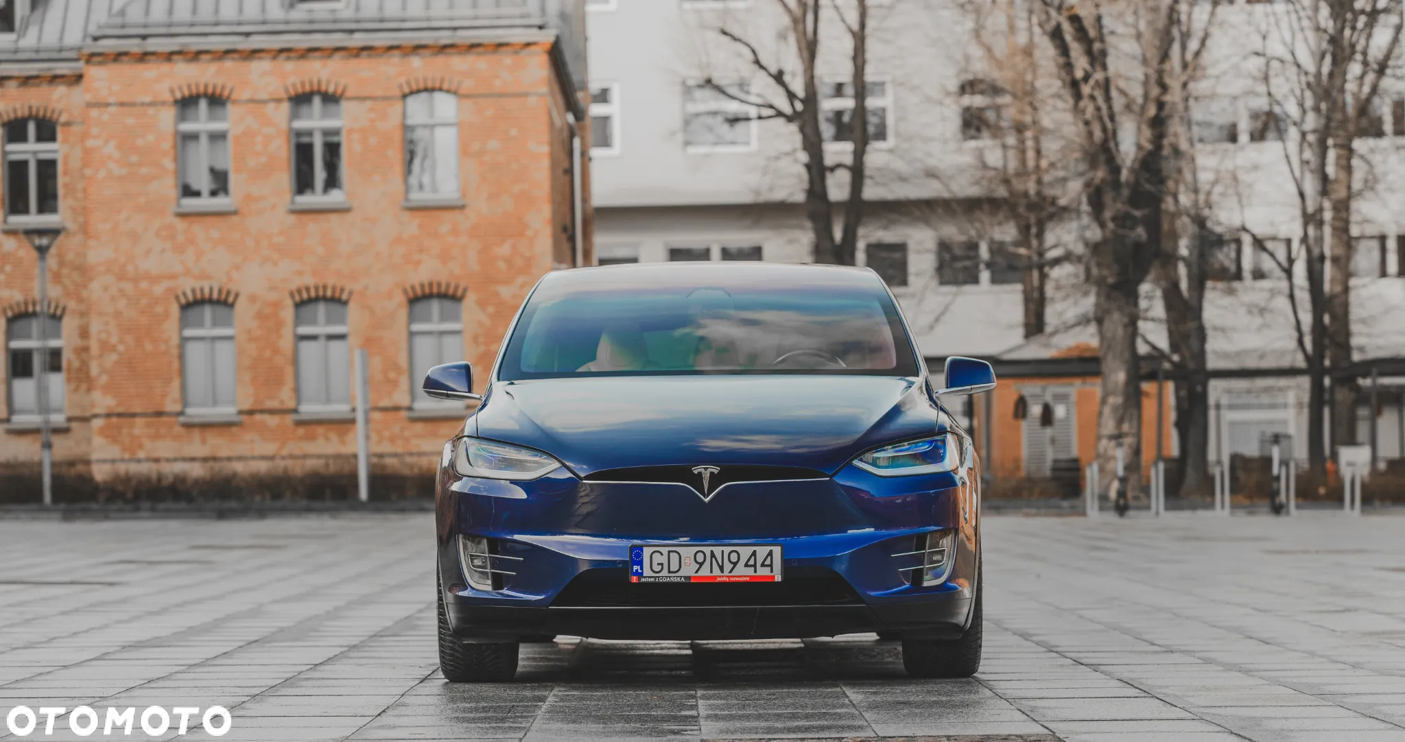 Tesla Model X Performance - 8