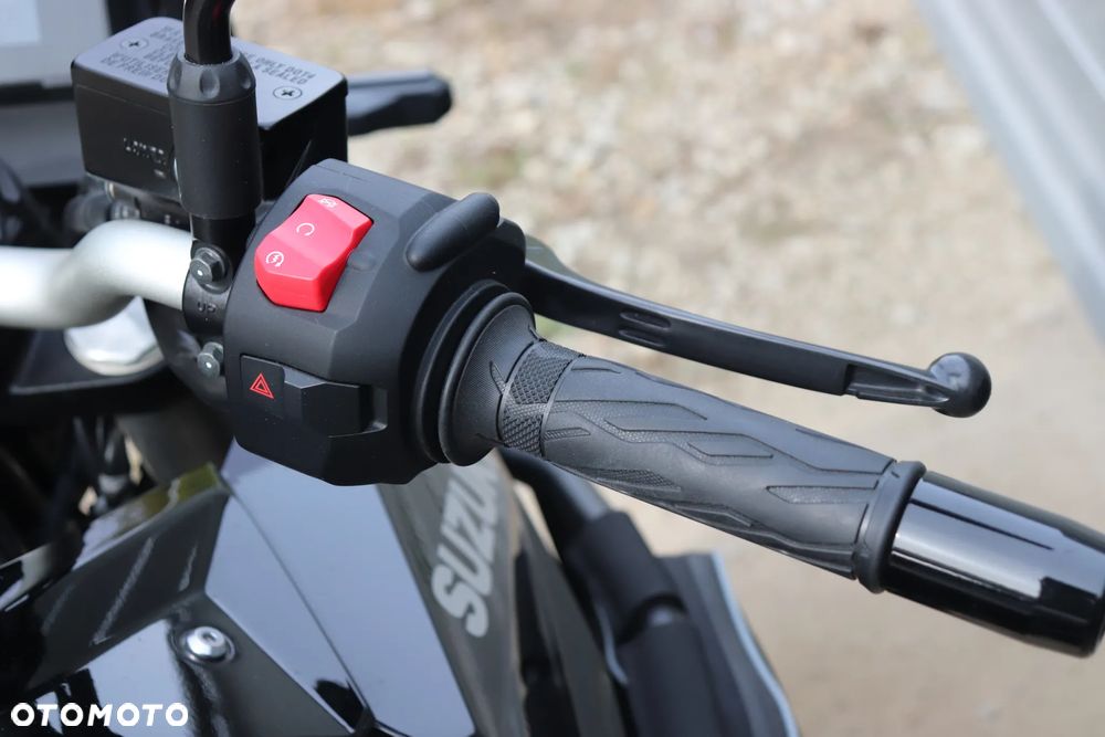 Suzuki V-STROM - 12