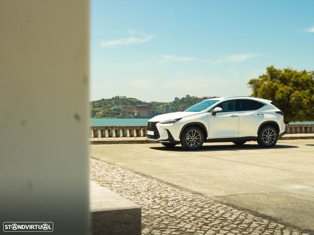 Lexus NX 450h+ Executive - 17