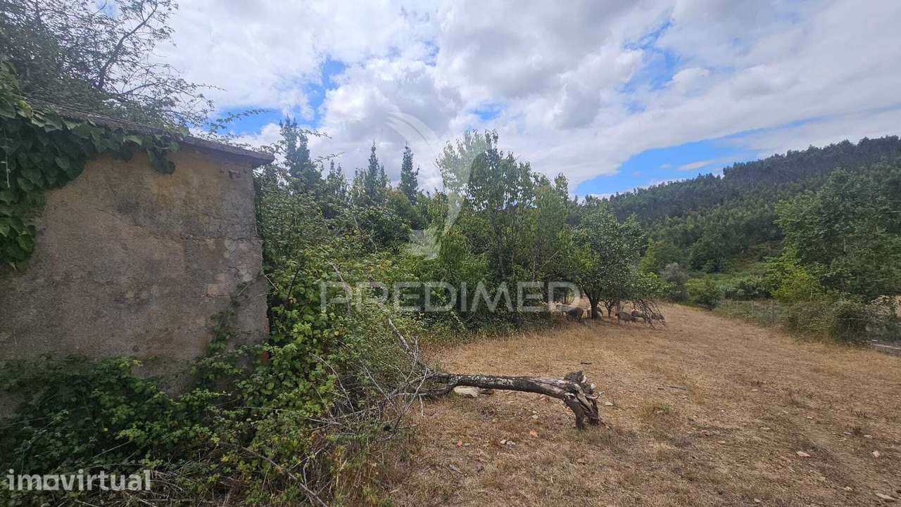 QUINTA COM 14.280 m² | 3 RUÍNAS | 5 POÇOS | NASCENTE | PERTO DE DOR... - Grande imagem: 4/18