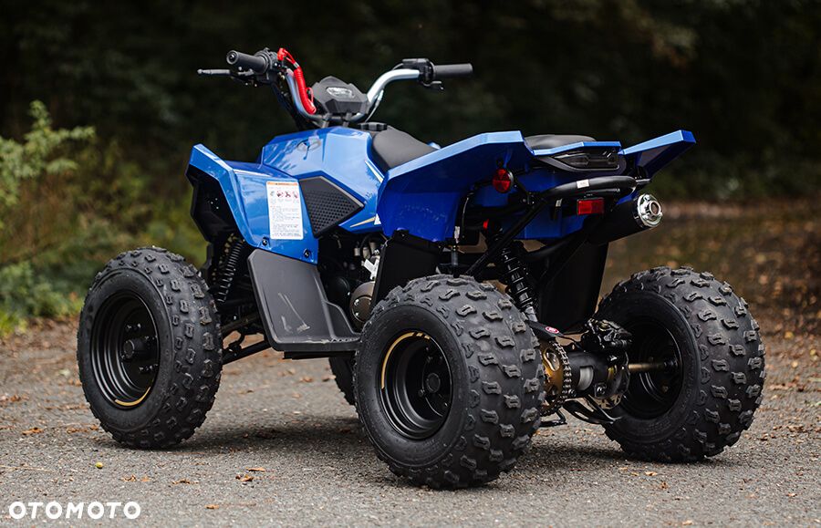 Linhai ATV - 8