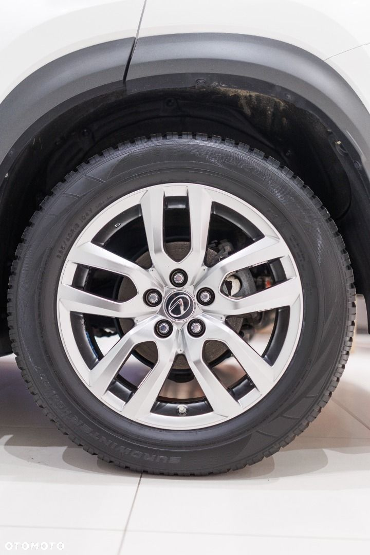 Lexus NX - 23