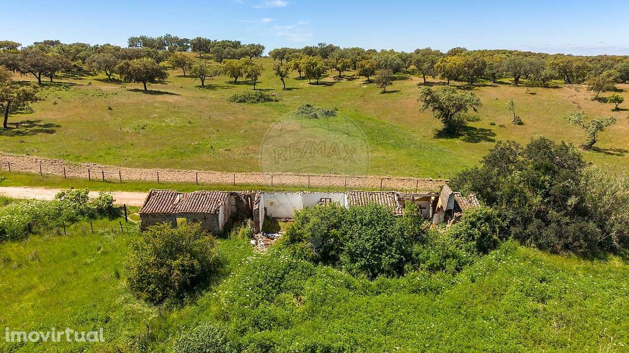 Quinta  para venda - Grande imagem: 4/7