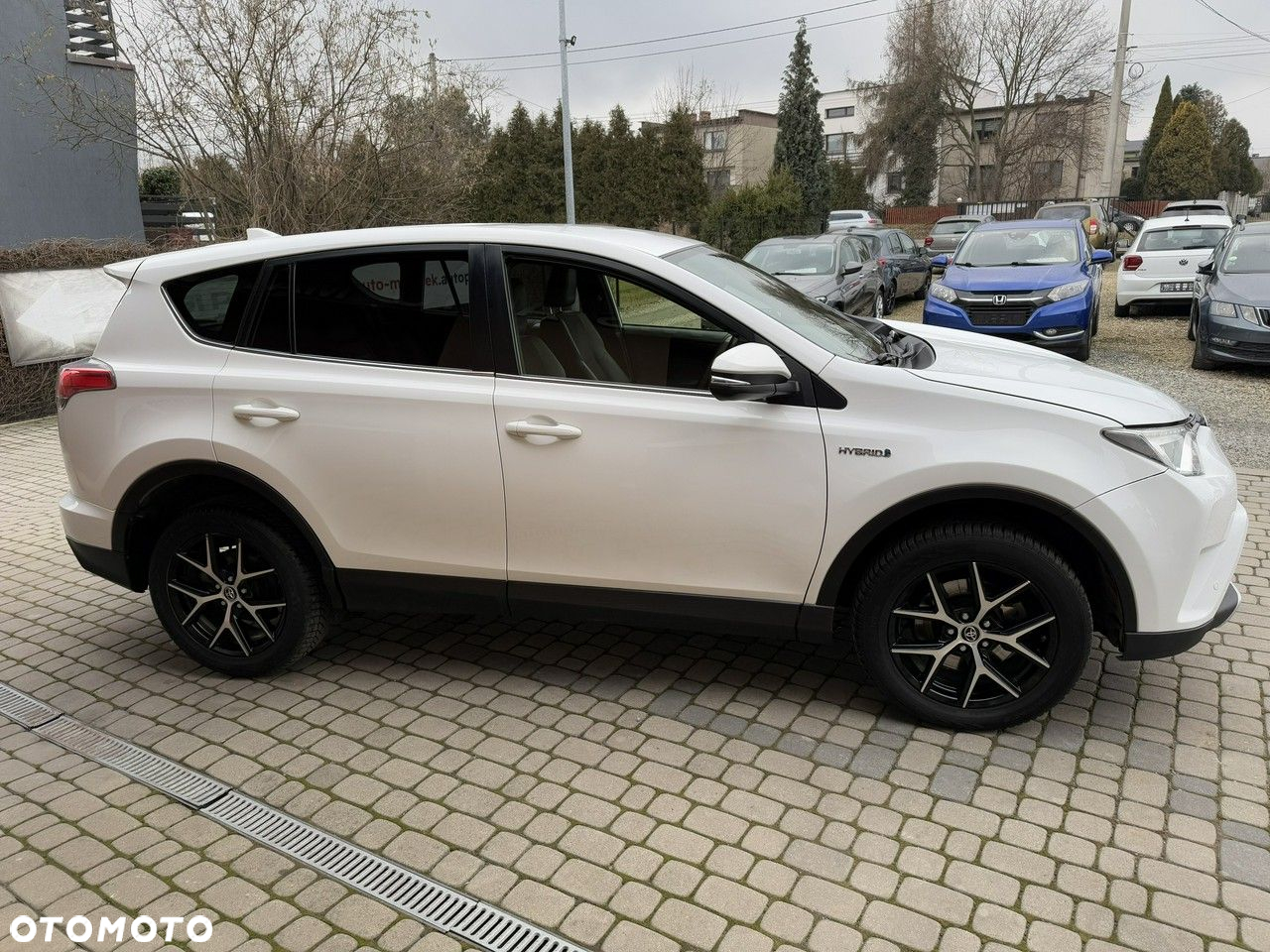 Toyota RAV4 2.5 4x2 Hybrid Edition - 5