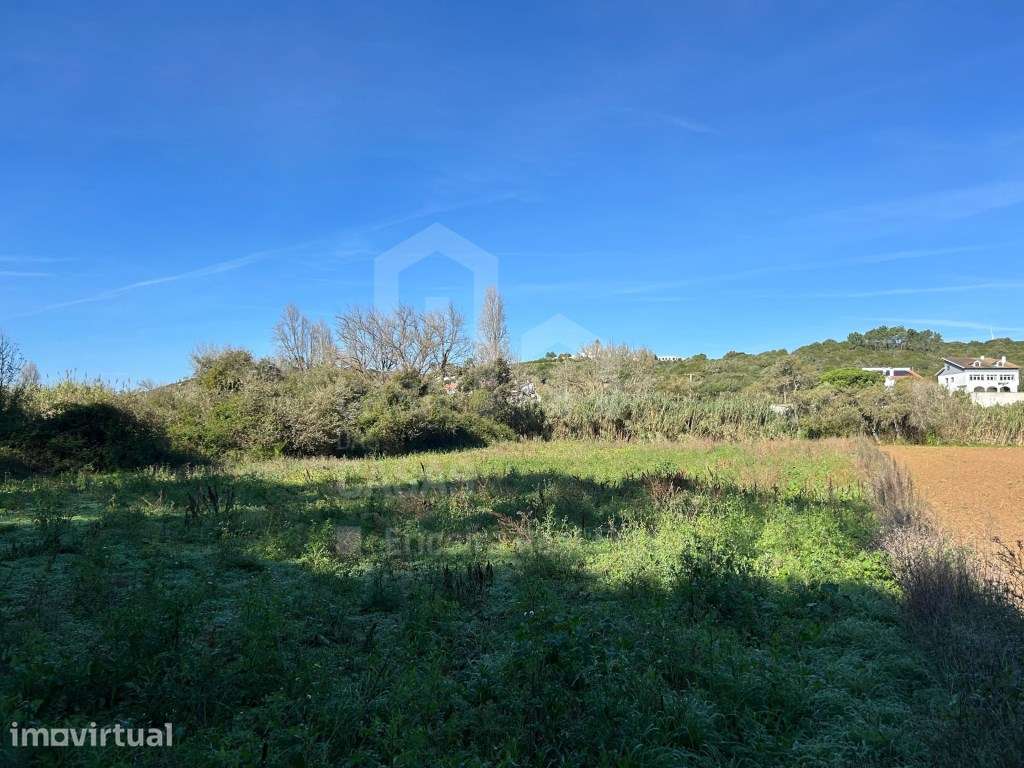 Vende Terreno - Ericeira, A Casa das Casas - Grande imagem: 5/6