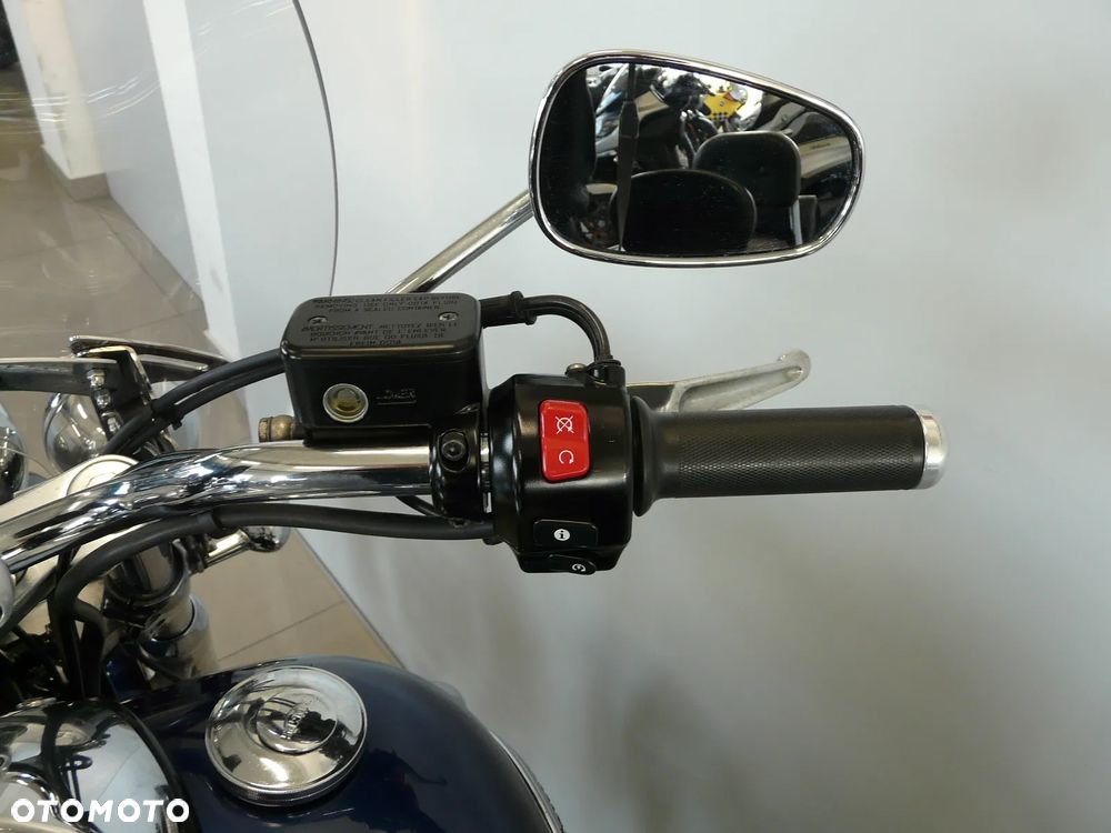 Triumph Thunderbird - 14